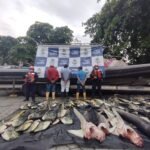 Incautan pesca ilegal en el pacífico colombiano 